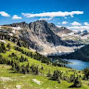 Meet your Posher, Chaya